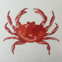 Expositie: Naar het strand — museum-expo in Middelburg
